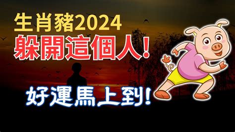 豬 運勢|2024屬豬幾歲、2024屬豬運勢、屬豬幸運色、財位、禁忌